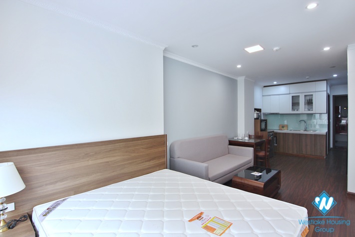 A new Nice furniture- 1 Bedroom Apartment in To Ngoc Van